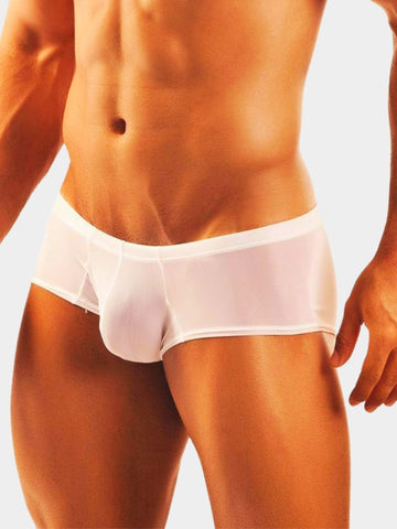 Men's Sheer Mesh Trunk Briefs