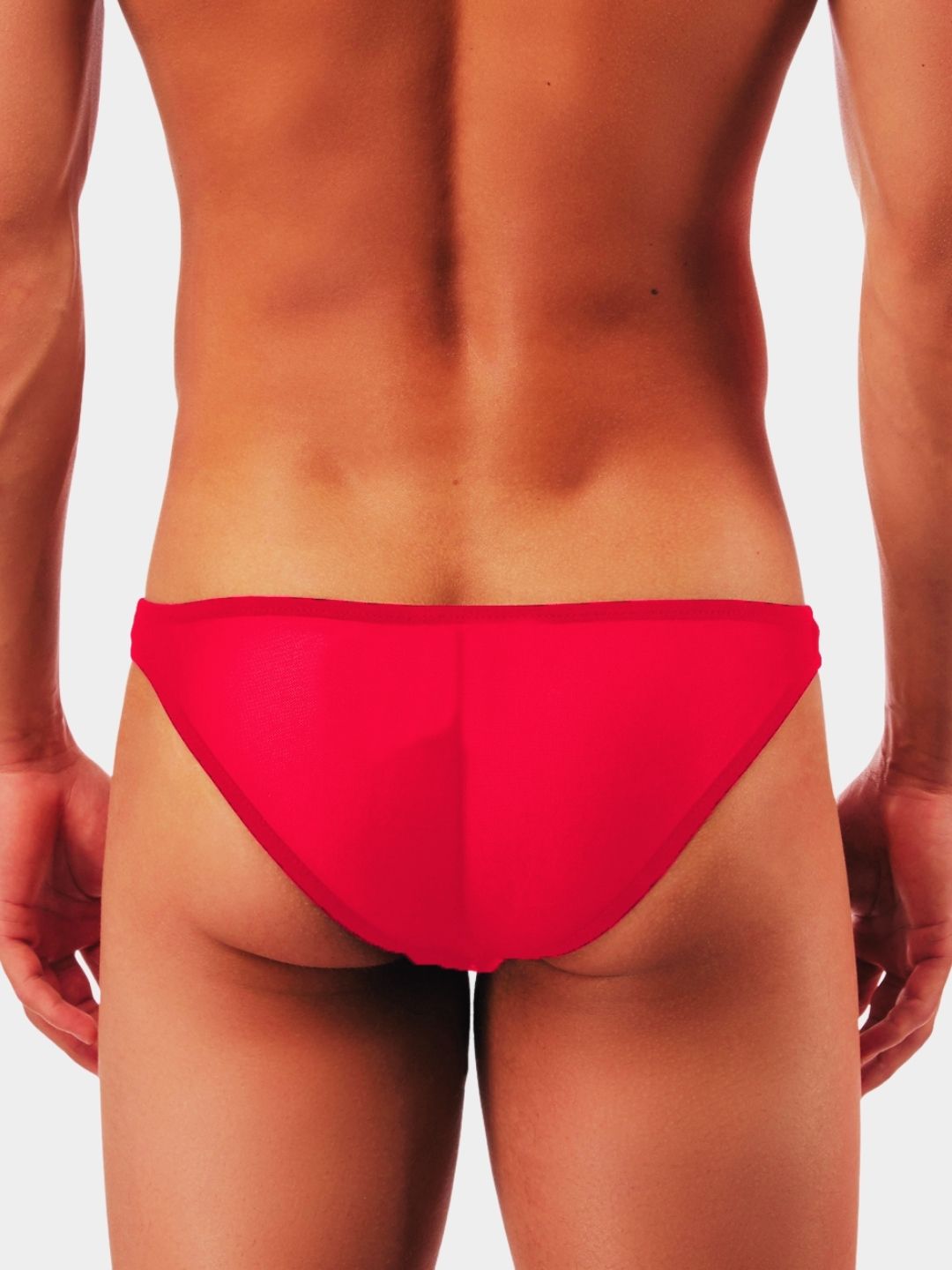Men's Sheer Mesh Bikini Briefs