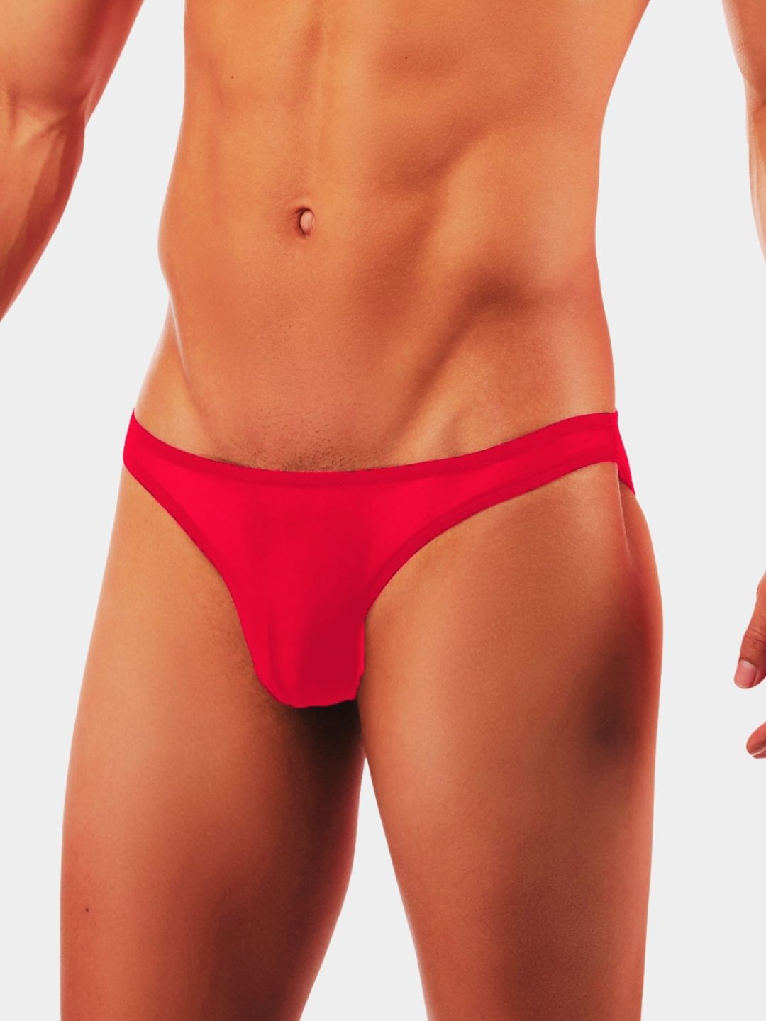 Men's Sheer Mesh Bikini Briefs