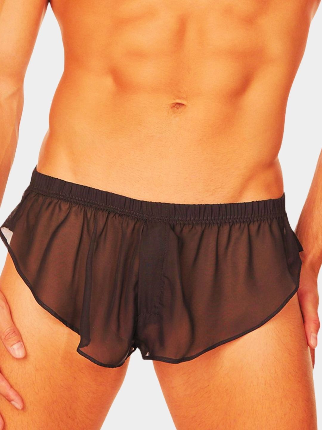 Men Lightweight Sheer Boxer Briefs