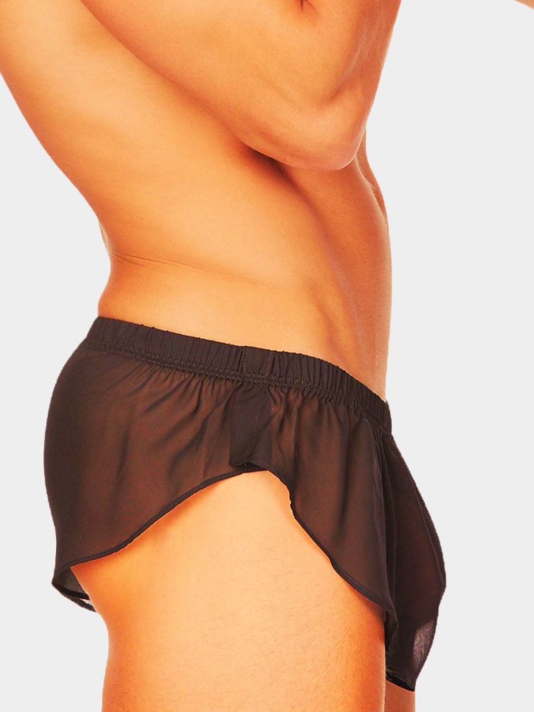 Men Lightweight Sheer Boxer Briefs
