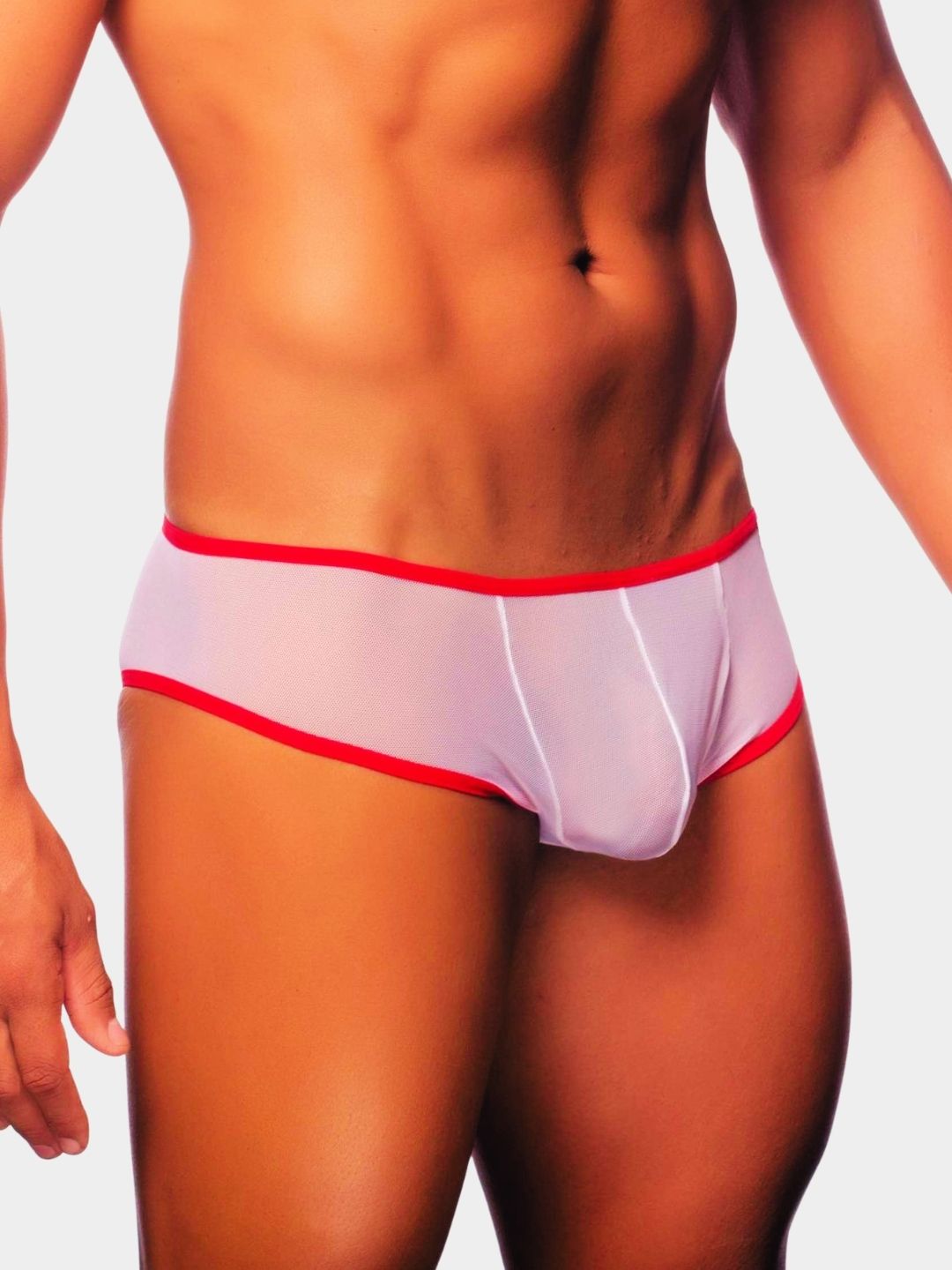 Men's Sheer Mesh Mini Trunk