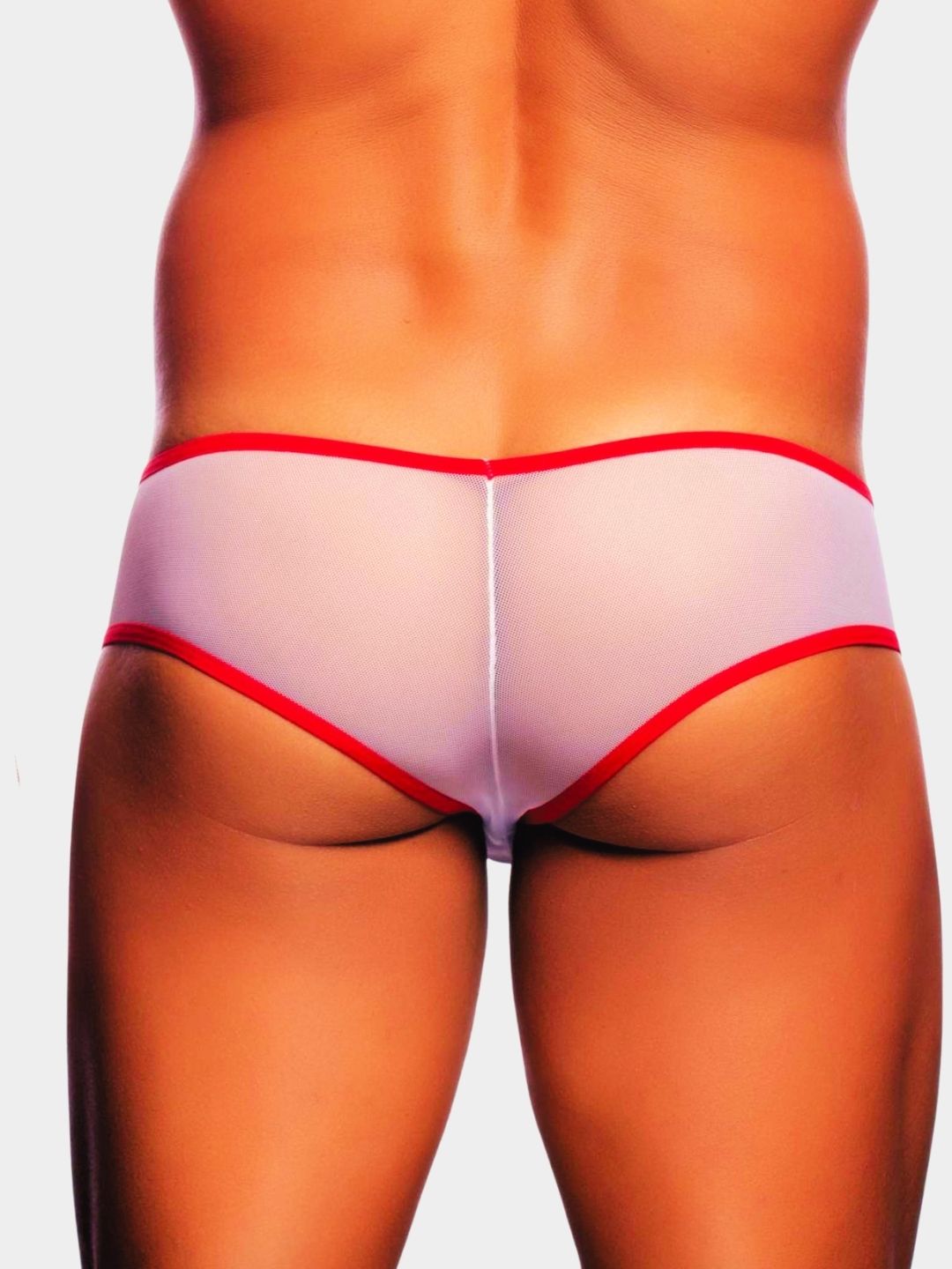 Men's Sheer Mesh Mini Trunk