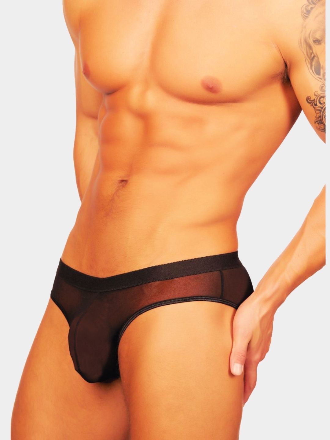 Men Solid Sheer Mesh Bikini Briefs