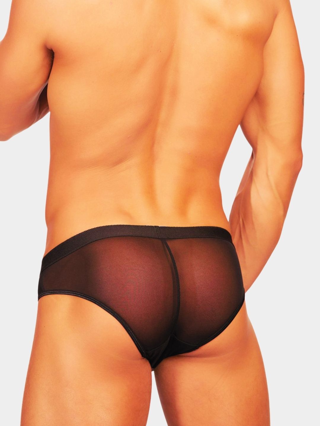 Men Solid Sheer Mesh Bikini Briefs