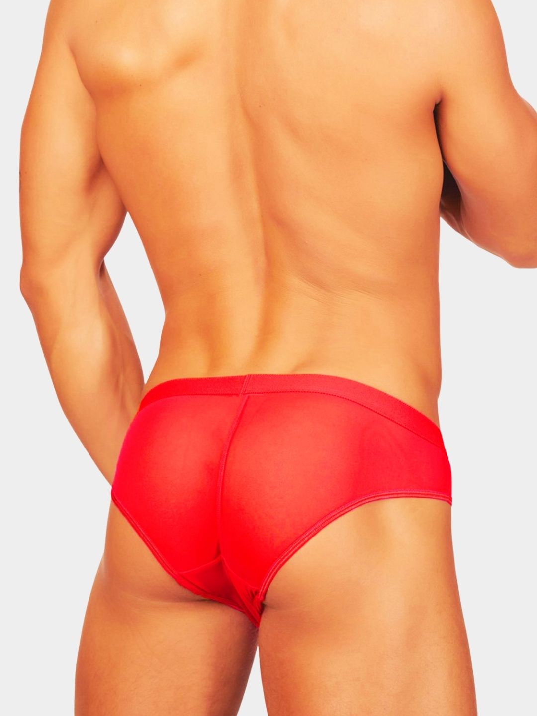 Men Solid Sheer Mesh Bikini Briefs