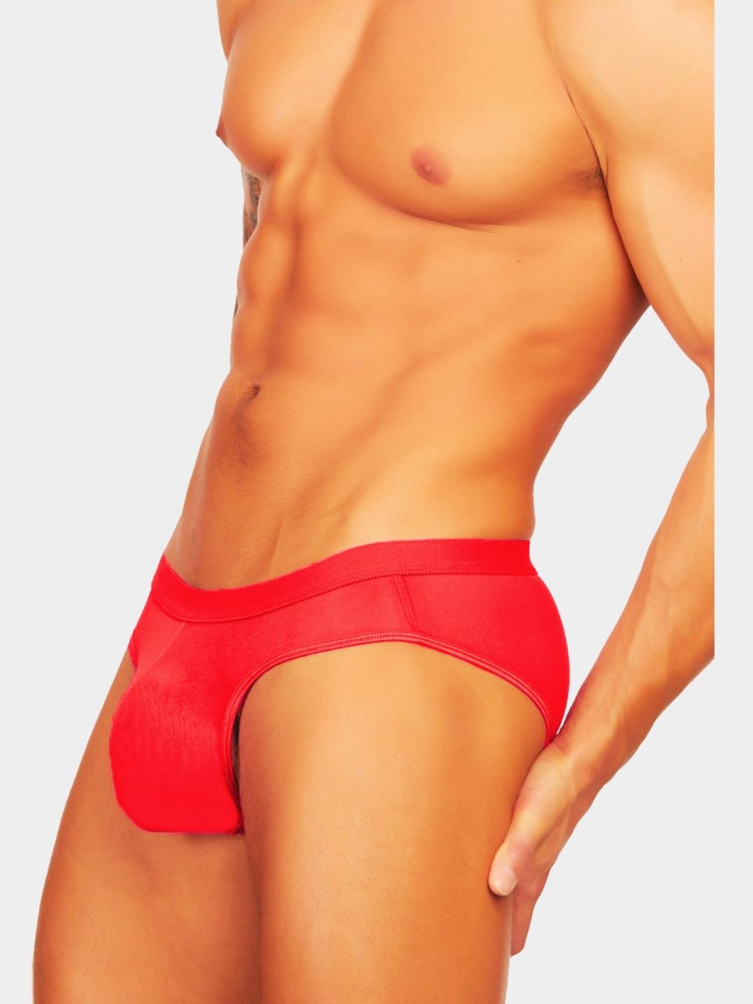 Men Solid Sheer Mesh Bikini Briefs