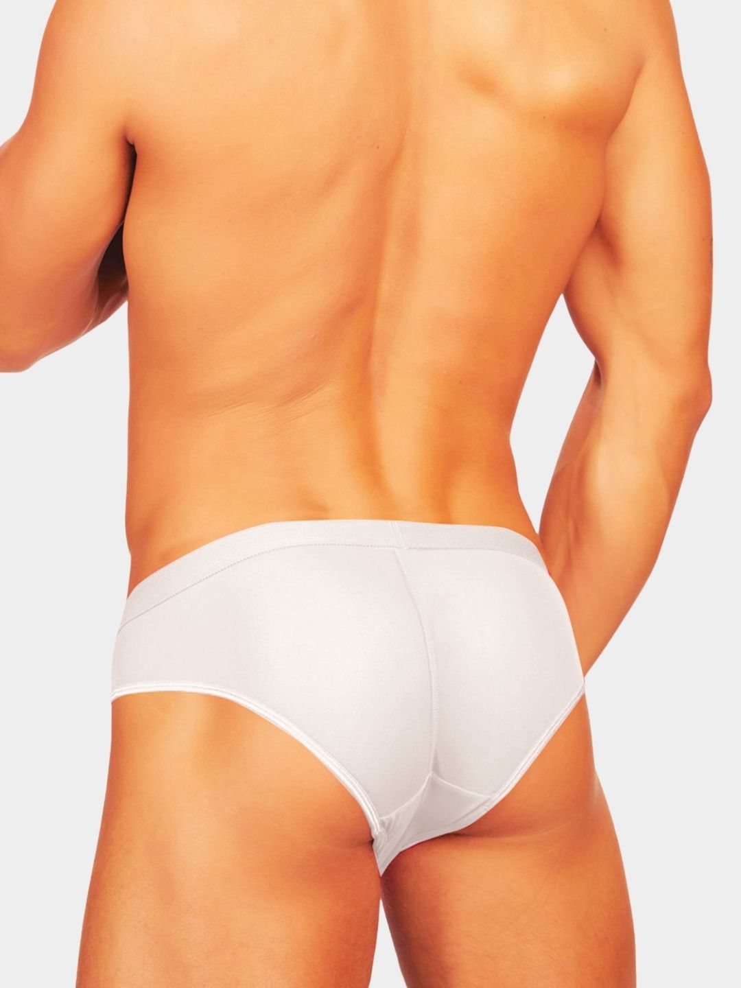 Men Solid Sheer Mesh Bikini Briefs