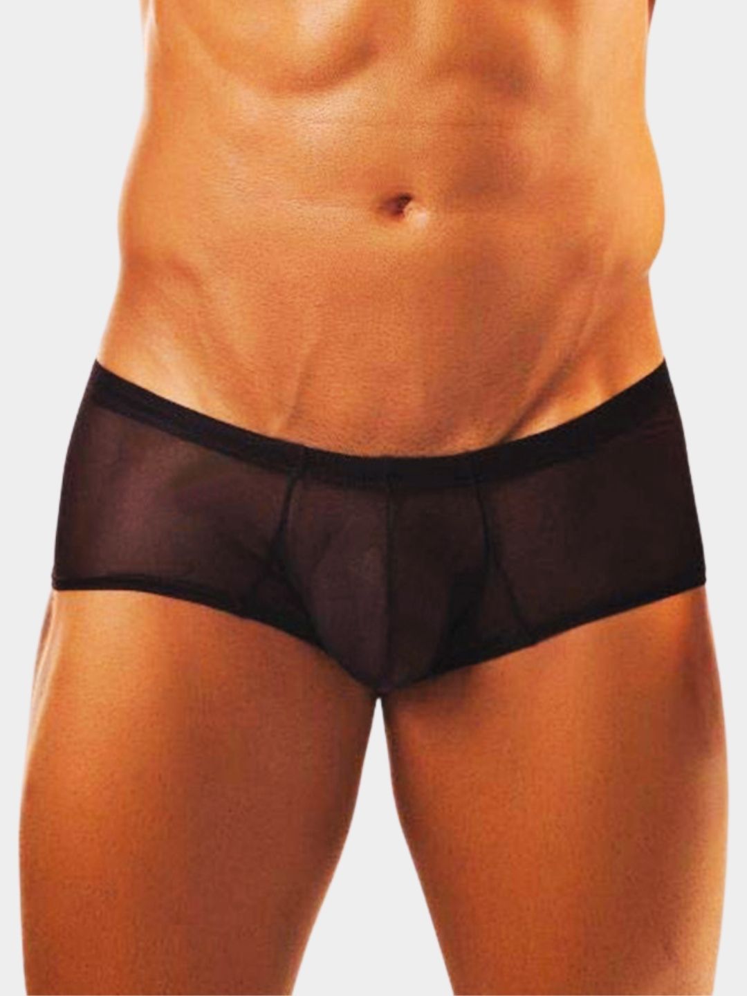 Men's Sheer Mesh Trunk Briefs