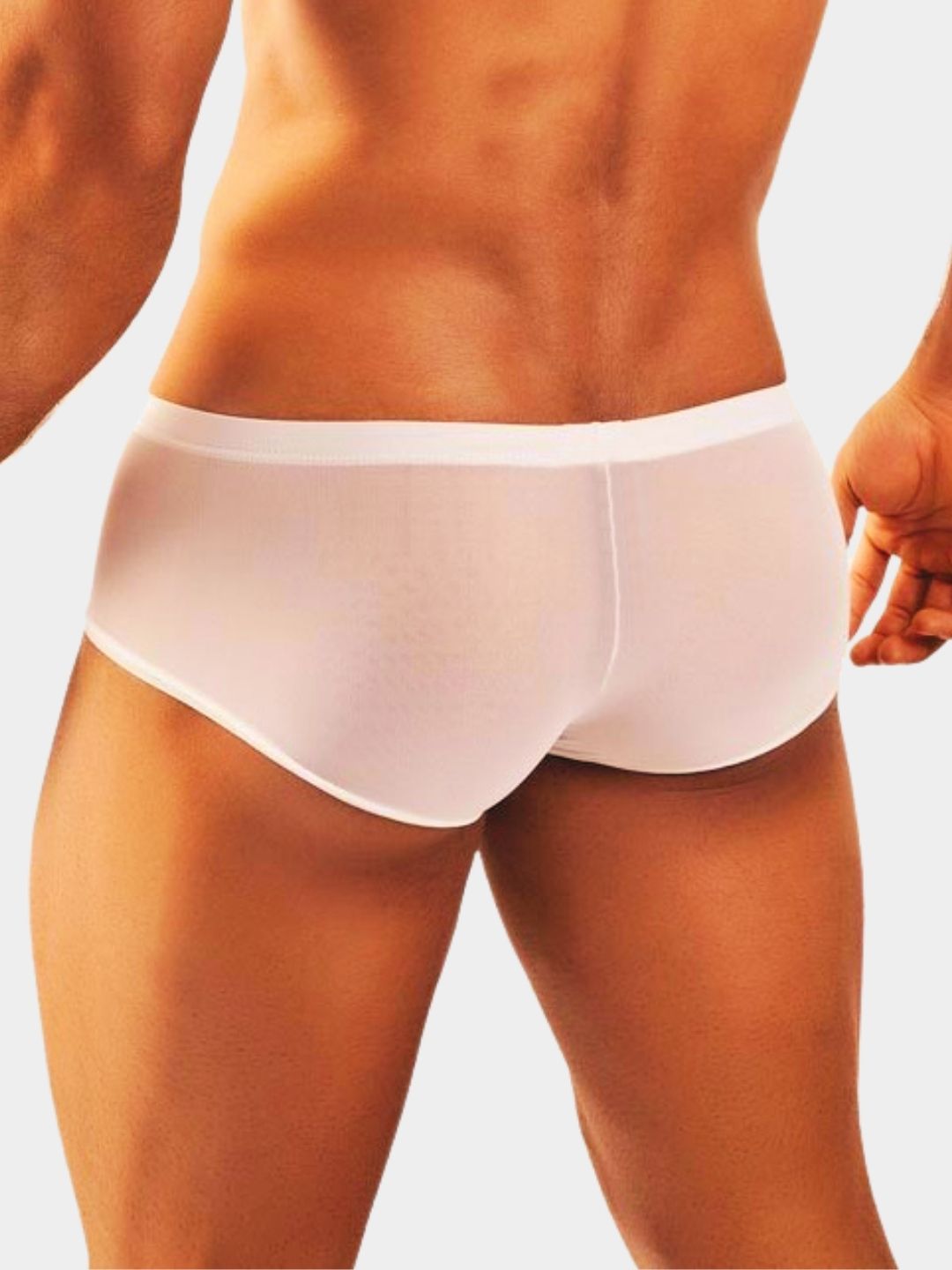 Men's Sheer Mesh Trunk Briefs