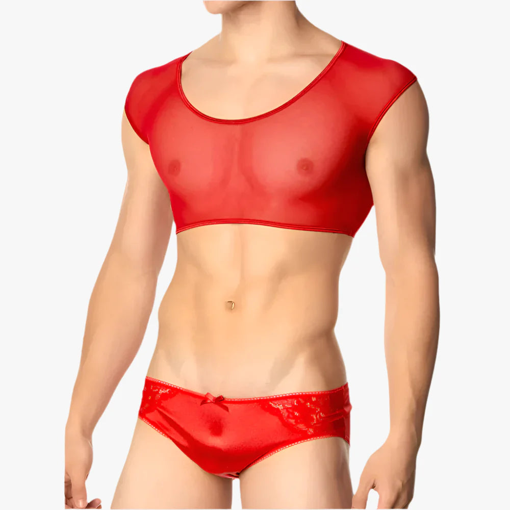Sexy Mesh Bra and Panty for Men
