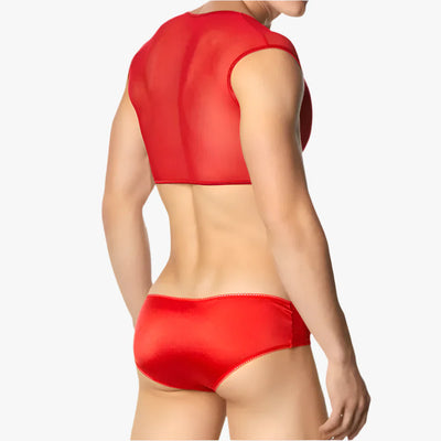 Sexy Mesh Bra and Panty for Men